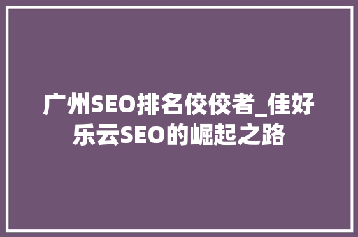 广州SEO排名佼佼者_佳好乐云SEO的崛起之路