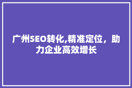 广州SEO转化,精准定位，助力企业高效增长