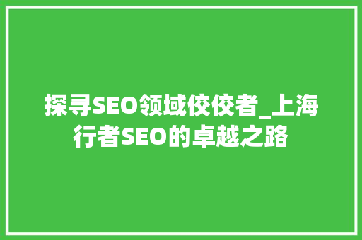 探寻SEO领域佼佼者_上海行者SEO的卓越之路