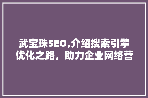 武宝珠SEO,介绍搜索引擎优化之路，助力企业网络营销腾飞