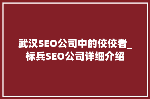 武汉SEO公司中的佼佼者_标兵SEO公司详细介绍