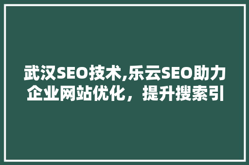 武汉SEO技术,乐云SEO助力企业网站优化，提升搜索引擎排名