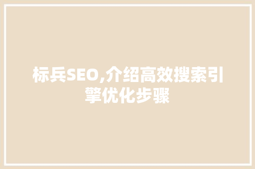 标兵SEO,介绍高效搜索引擎优化步骤