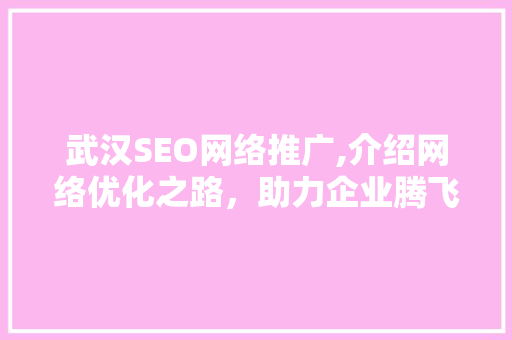 武汉SEO网络推广,介绍网络优化之路，助力企业腾飞