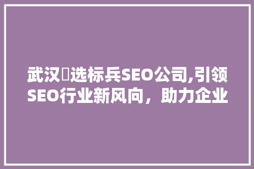 武汉亅选标兵SEO公司,引领SEO行业新风向，助力企业腾飞
