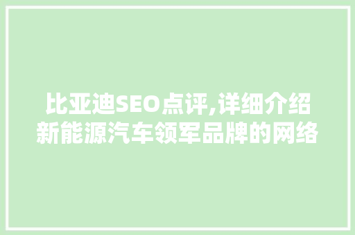 比亚迪SEO点评,详细介绍新能源汽车领军品牌的网络营销步骤