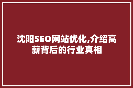 沈阳SEO网站优化,介绍高薪背后的行业真相
