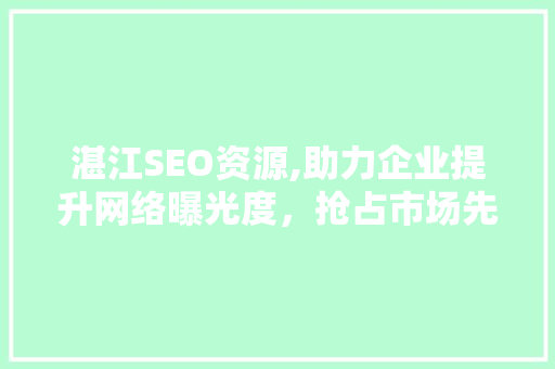 湛江SEO资源,助力企业提升网络曝光度，抢占市场先机