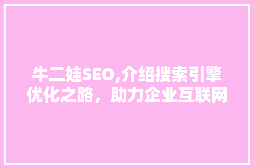 牛二娃SEO,介绍搜索引擎优化之路，助力企业互联网营销