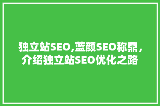 独立站SEO,蓝颜SEO称鼎，介绍独立站SEO优化之路