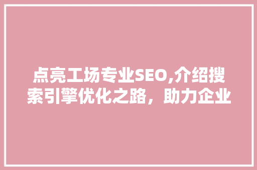 点亮工场专业SEO,介绍搜索引擎优化之路，助力企业腾飞