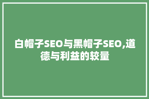 白帽子SEO与黑帽子SEO,道德与利益的较量