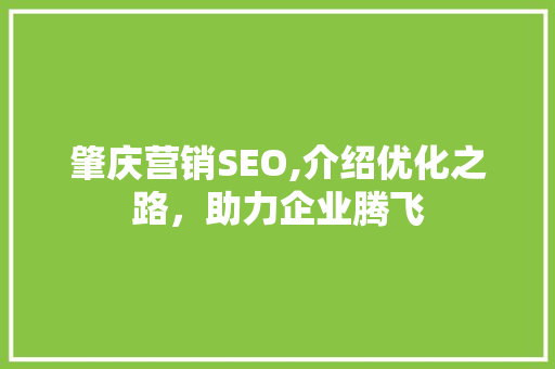 肇庆营销SEO,介绍优化之路，助力企业腾飞