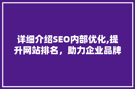 详细介绍SEO内部优化,提升网站排名，助力企业品牌崛起