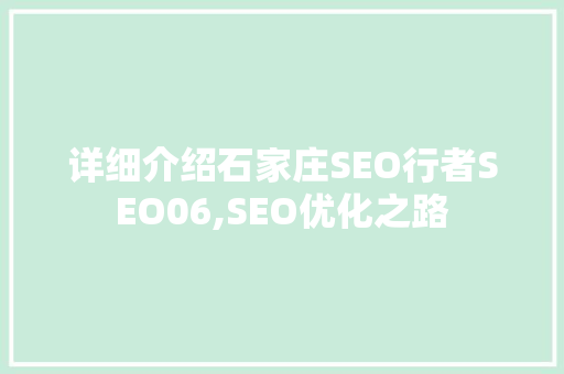 详细介绍石家庄SEO行者SEO06,SEO优化之路