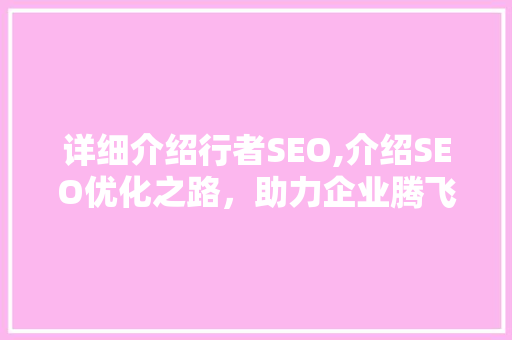 详细介绍行者SEO,介绍SEO优化之路，助力企业腾飞