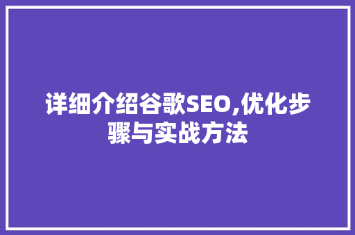 详细介绍谷歌SEO,优化步骤与实战方法