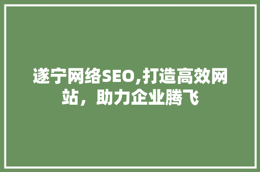 遂宁网络SEO,打造高效网站，助力企业腾飞