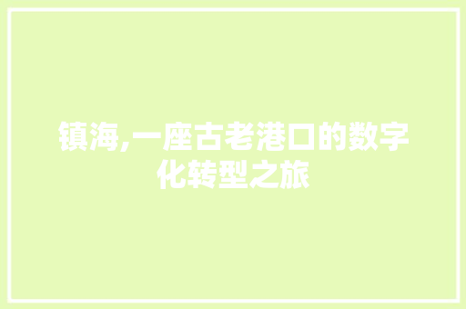 镇海,一座古老港口的数字化转型之旅