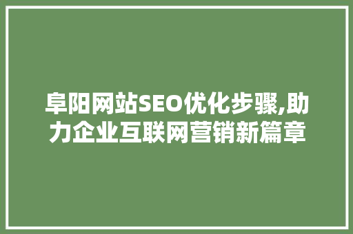 阜阳网站SEO优化步骤,助力企业互联网营销新篇章