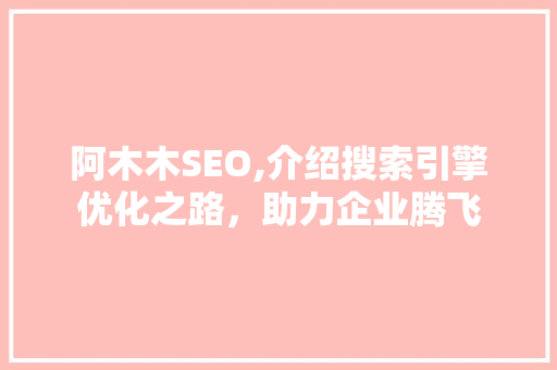 阿木木SEO,介绍搜索引擎优化之路，助力企业腾飞