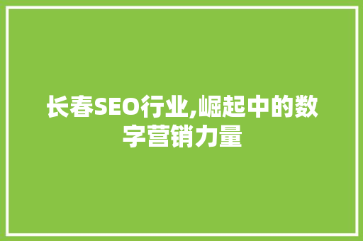 长春SEO行业,崛起中的数字营销力量