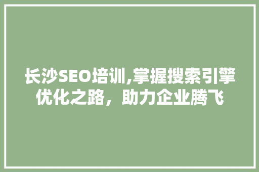 长沙SEO培训,掌握搜索引擎优化之路，助力企业腾飞