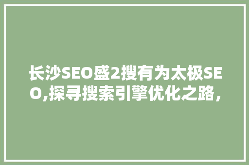 长沙SEO盛2搜有为太极SEO,探寻搜索引擎优化之路，助力企业腾飞