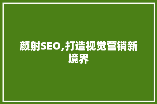 颜射SEO,打造视觉营销新境界