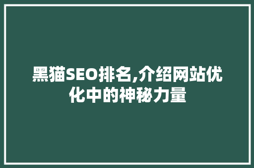 黑猫SEO排名,介绍网站优化中的神秘力量