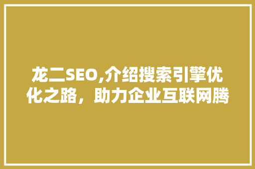 龙二SEO,介绍搜索引擎优化之路，助力企业互联网腾飞