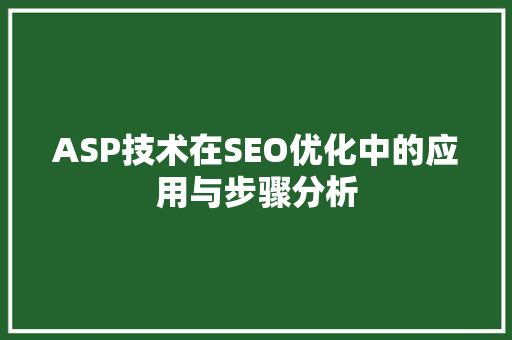 ASP技术在SEO优化中的应用与步骤分析
