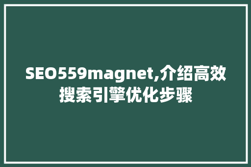 SEO559magnet,介绍高效搜索引擎优化步骤