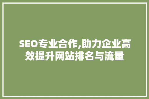 SEO专业合作,助力企业高效提升网站排名与流量