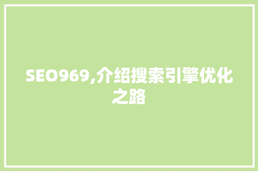 SEO969,介绍搜索引擎优化之路