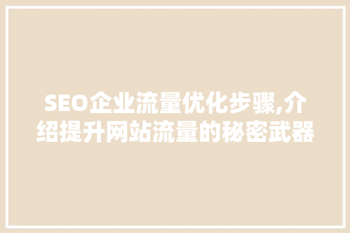 SEO企业流量优化步骤,介绍提升网站流量的秘密武器