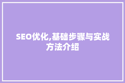 SEO优化,基础步骤与实战方法介绍