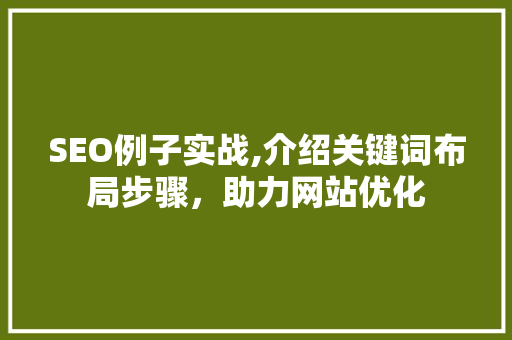 SEO例子实战,介绍关键词布局步骤，助力网站优化