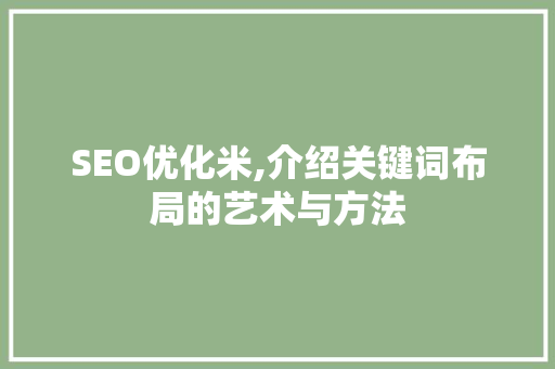 SEO优化米,介绍关键词布局的艺术与方法