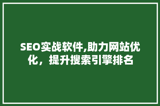SEO实战软件,助力网站优化，提升搜索引擎排名