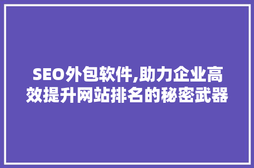 SEO外包软件,助力企业高效提升网站排名的秘密武器