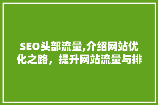 SEO头部流量,介绍网站优化之路，提升网站流量与排名