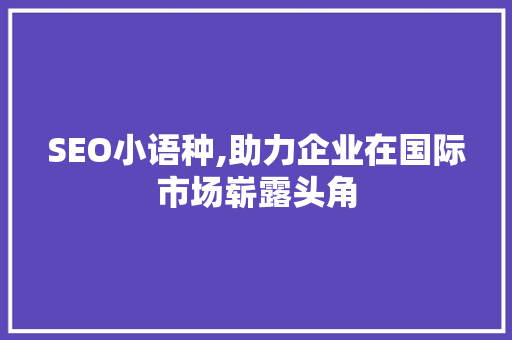 SEO小语种,助力企业在国际市场崭露头角