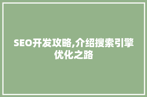 SEO开发攻略,介绍搜索引擎优化之路