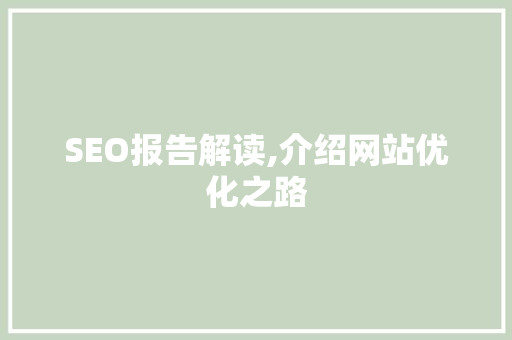 SEO报告解读,介绍网站优化之路