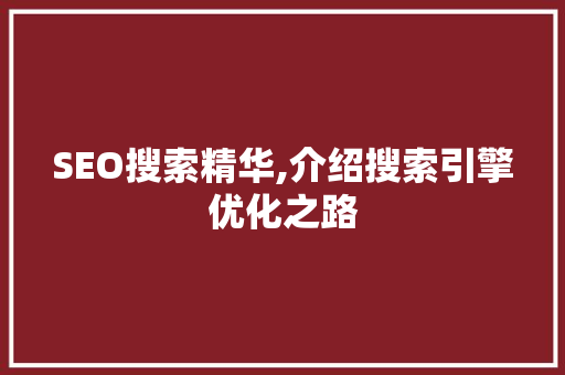 SEO搜索精华,介绍搜索引擎优化之路