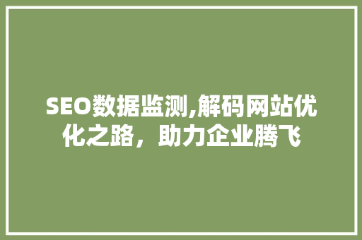 SEO数据监测,解码网站优化之路，助力企业腾飞