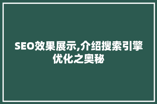 SEO效果展示,介绍搜索引擎优化之奥秘