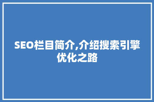 SEO栏目简介,介绍搜索引擎优化之路