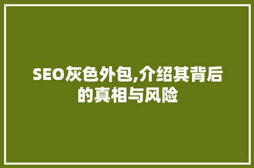 SEO灰色外包,介绍其背后的真相与风险